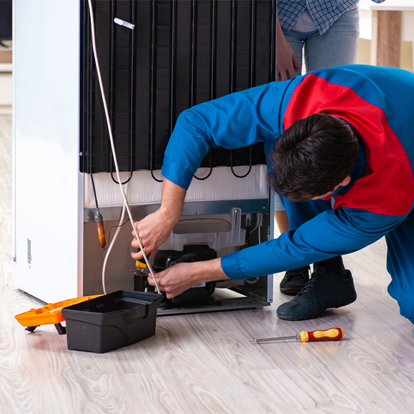 what are the common refrigerator repair services in Bliss NY